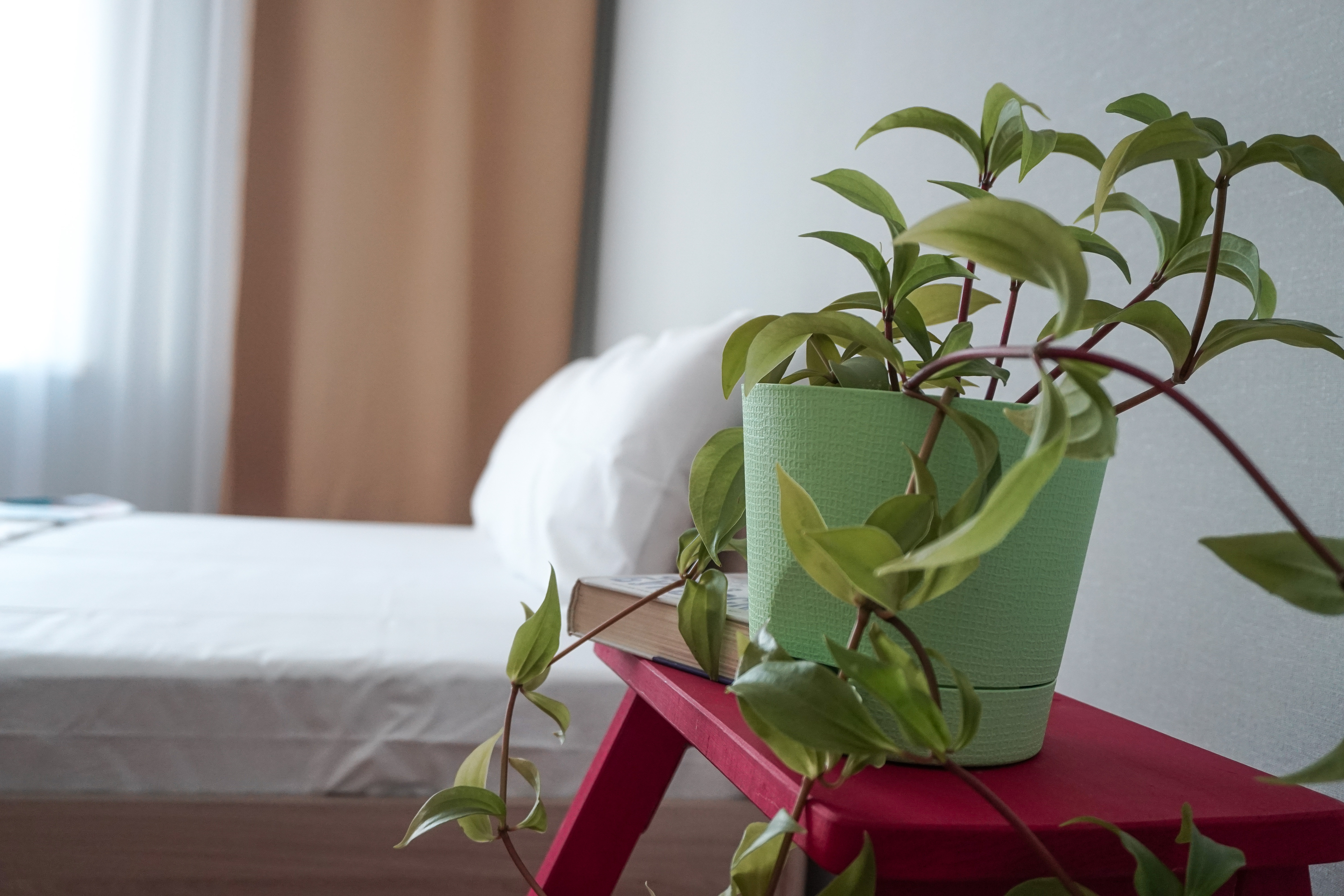 Фото На Лиговский 23