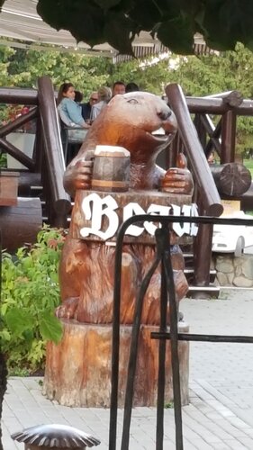 Мейрамхана Beaver+, Белокуриха, фото