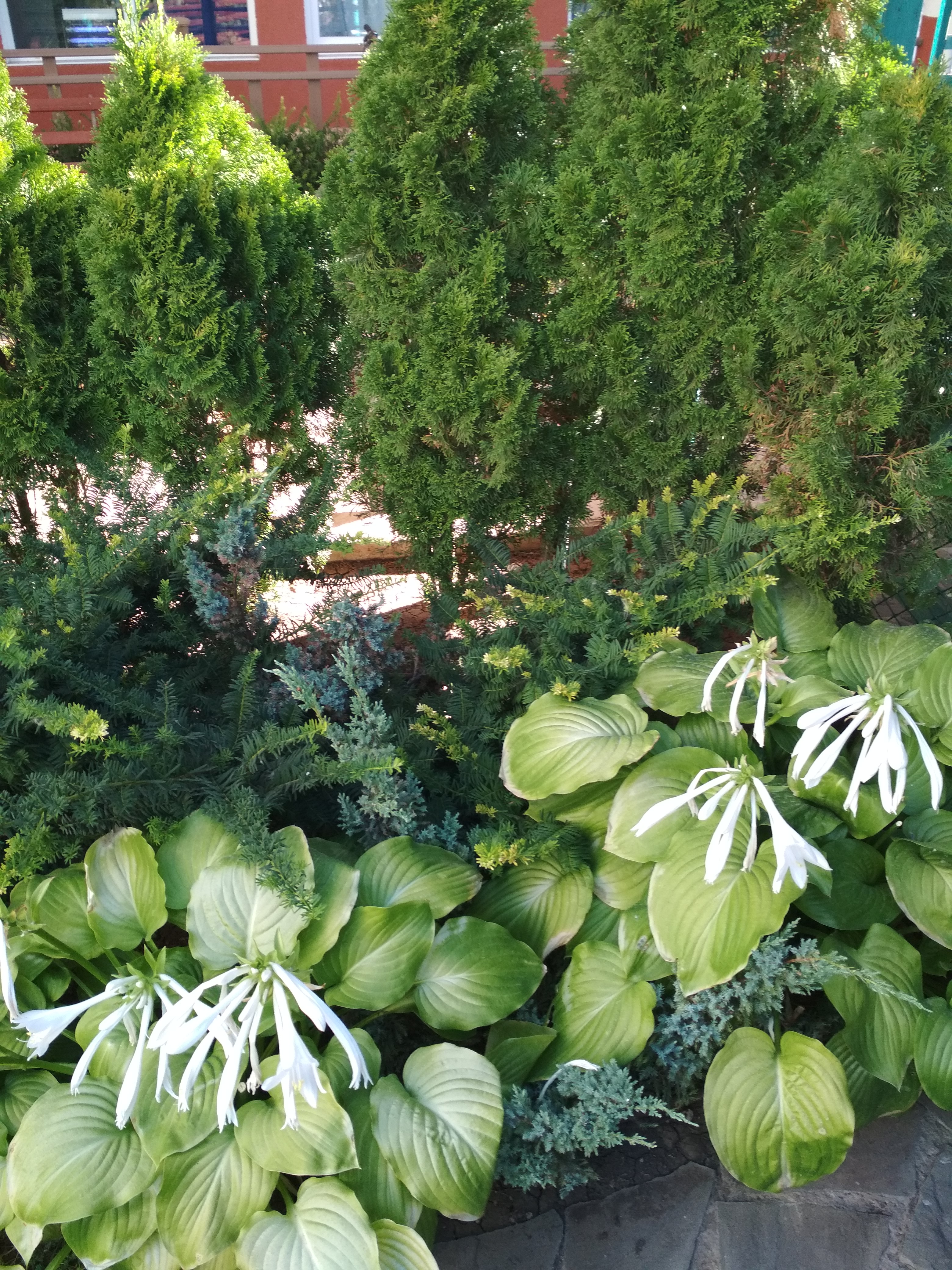 Фото Два маяка