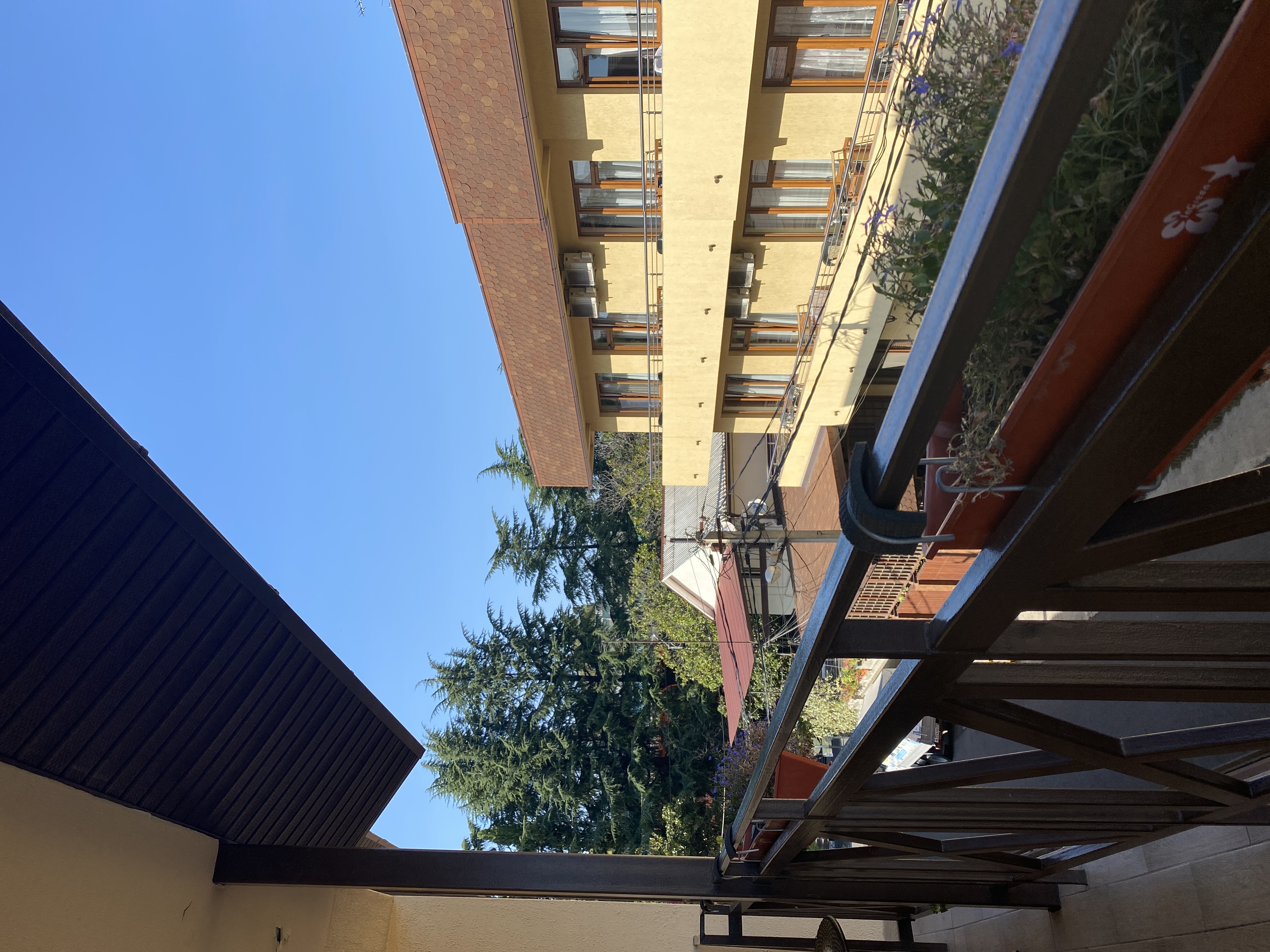 Фото Светлячок