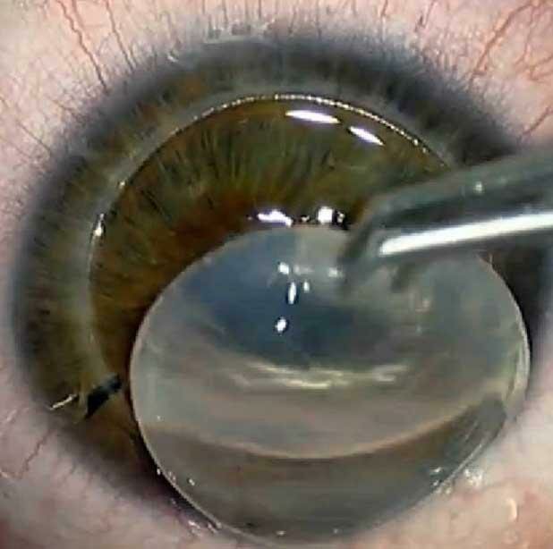 Salón de óptica Dr. Francisco Javier Salinas Márquez, , foto