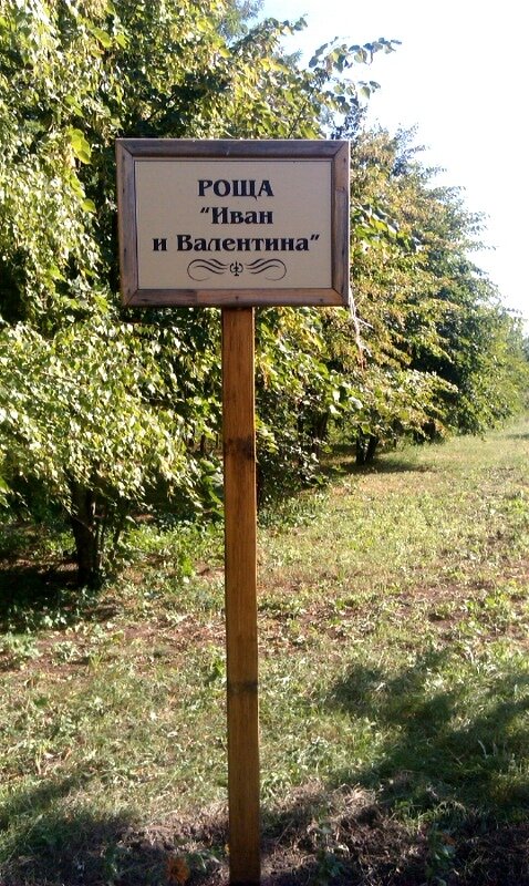 Parque de cultura y ocio Роща Иван и Валентина, , foto