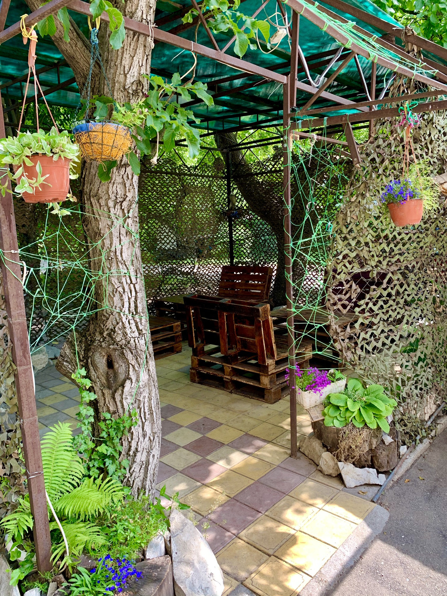 Фото Светофор