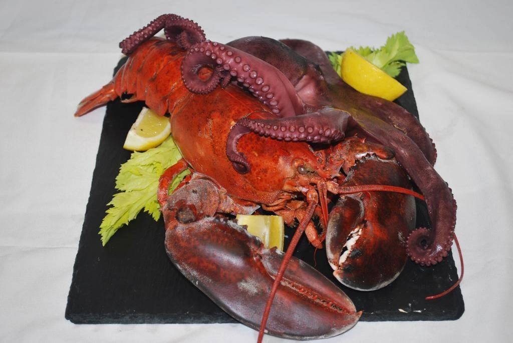 Фото Hotel Arena