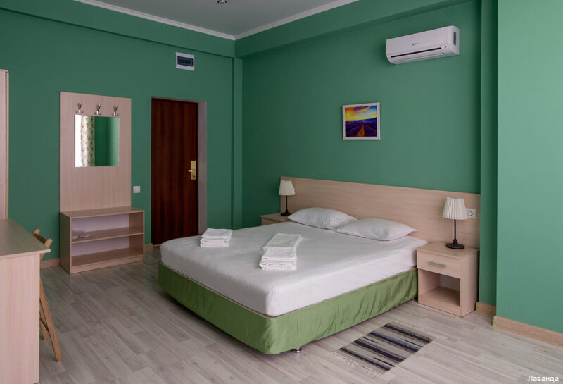 Фото Лаванда