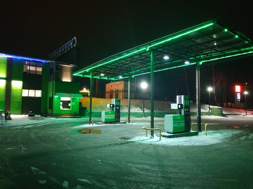 محطة وقود Gas Station ، موسكو ومحافظة موسكو، صورة