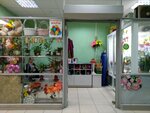 Киоск по продаже цветов (Orlovskaya ulitsa, 1) ، محل زهور