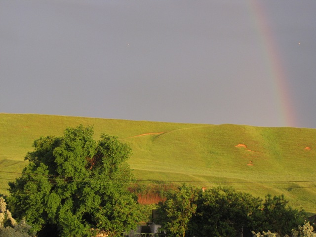Фото Алмарис