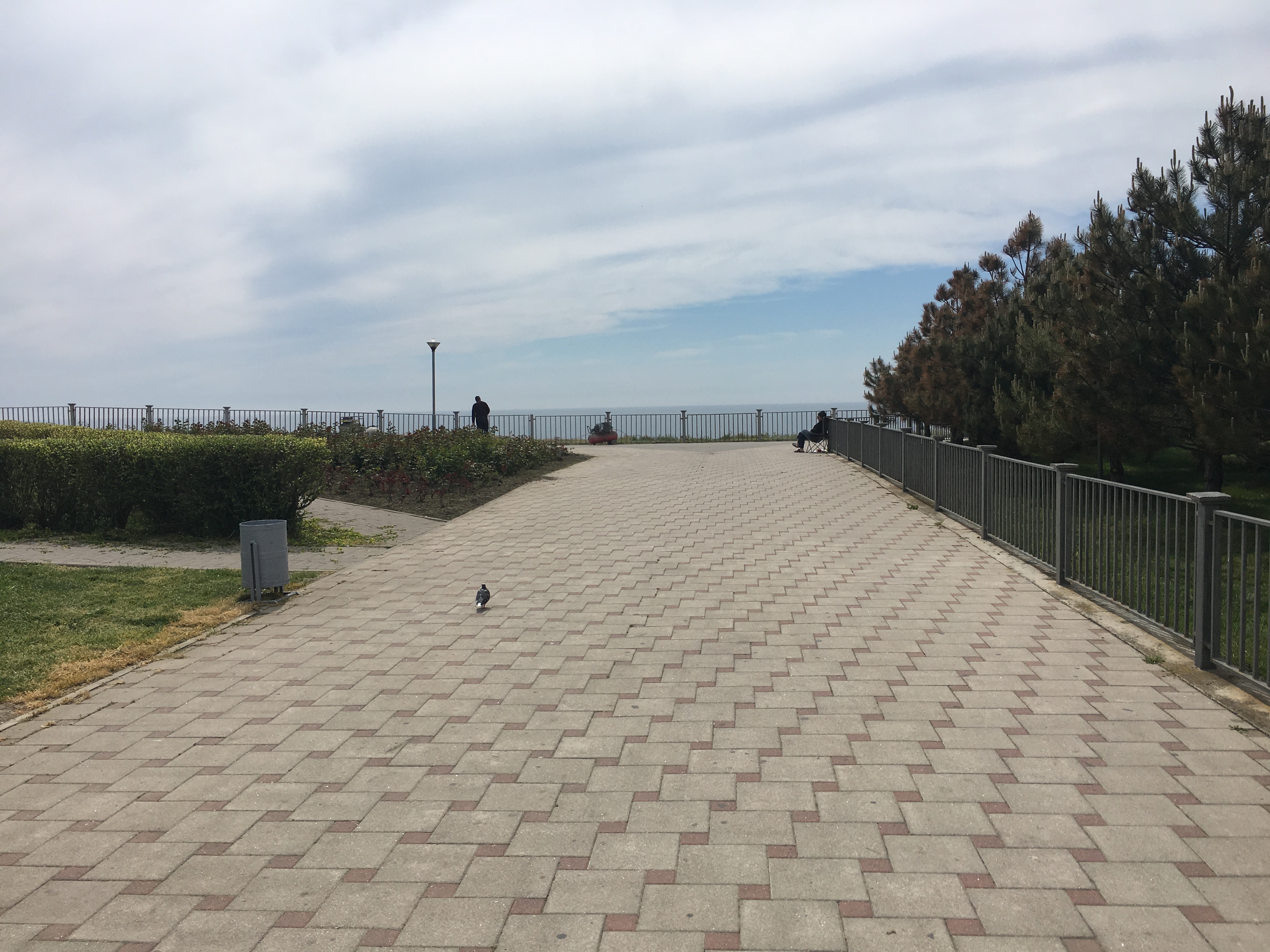 Фото Отель Максимус