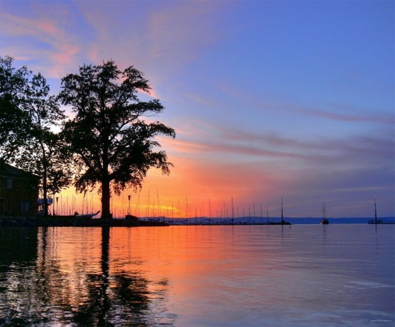 Фото SunGarden Wellness & Conference Hotel