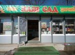 Nash Sad (Tovarnyy Drive, 2/2), seed shop
