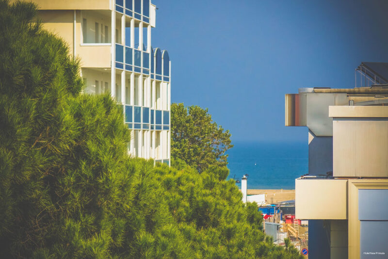 Фото Hotel New Primula