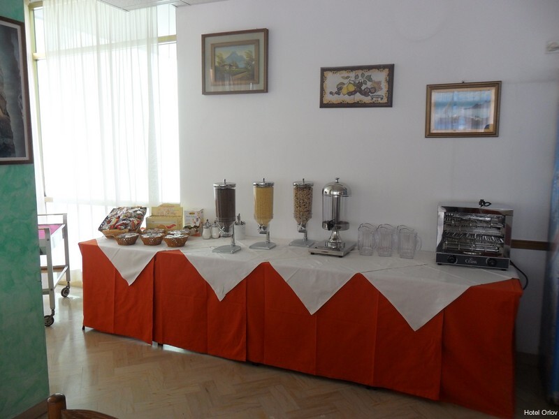 Фото Hotel Orlov