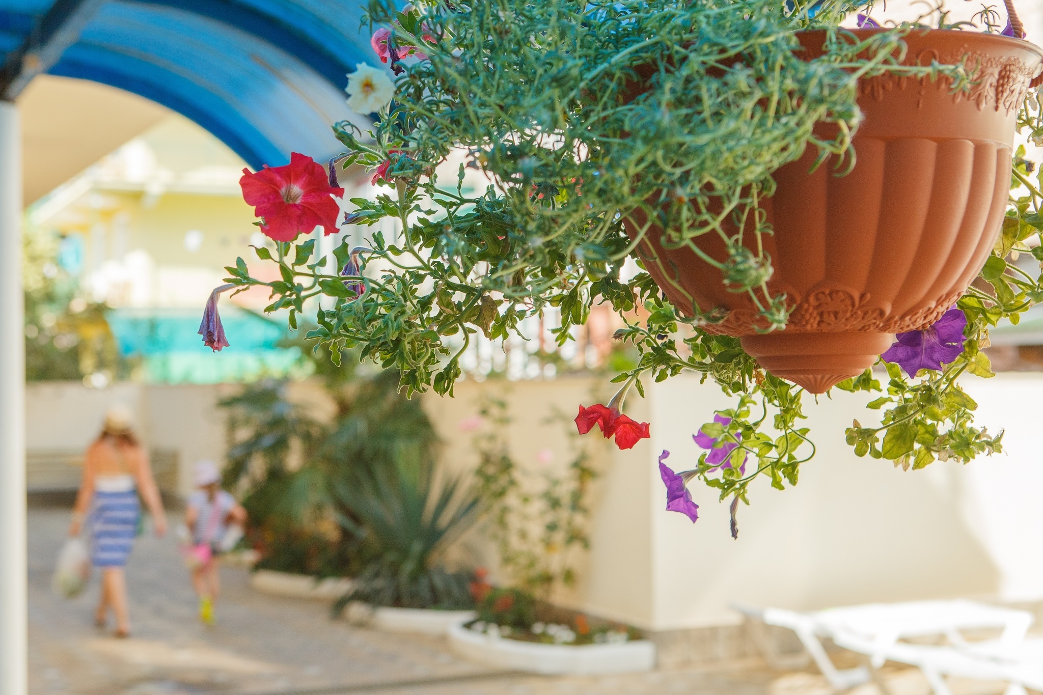 Фото Экодом Фэмили