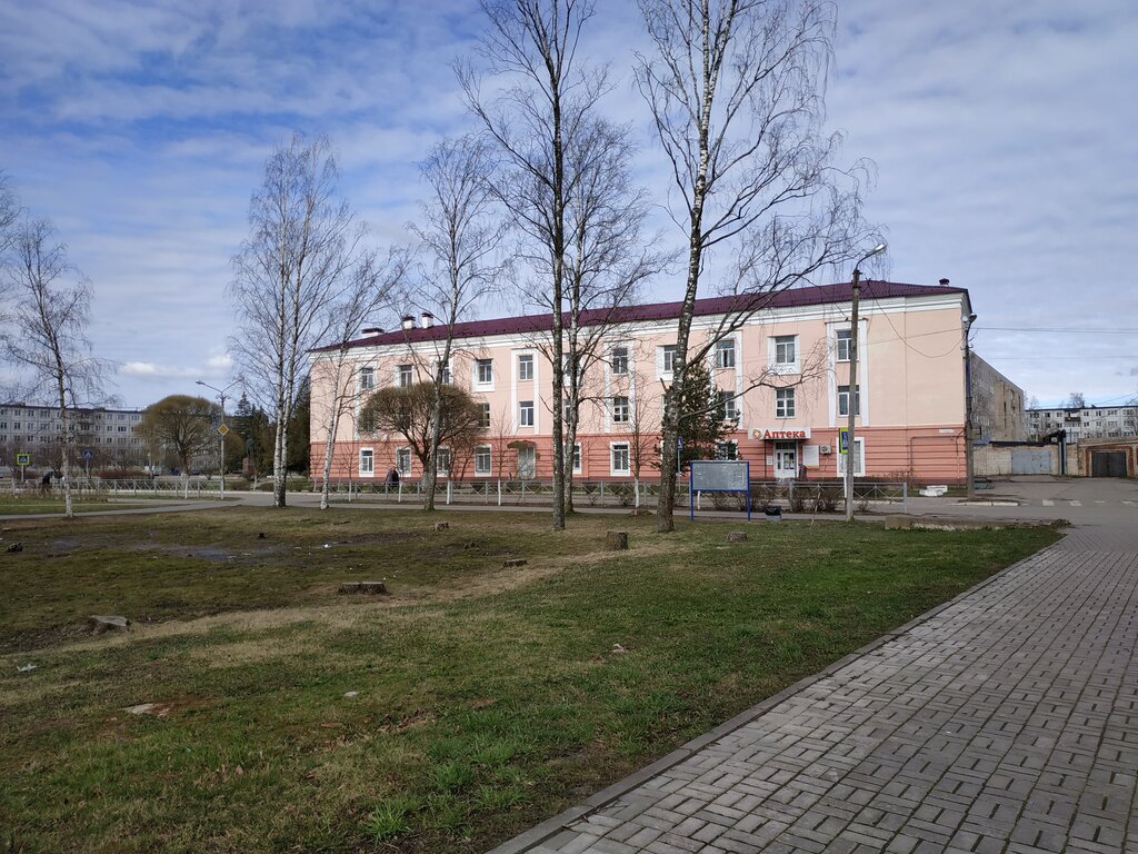 Exhibition center Khudozhestvennaya galereya, Chudovo, photo