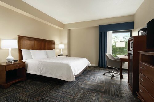 Гостиница Hampton Inn Atlanta Stone Mountain