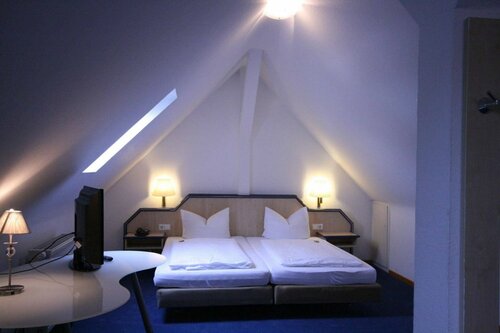 Гостиница Altstadt Hotel в Хайдельберге