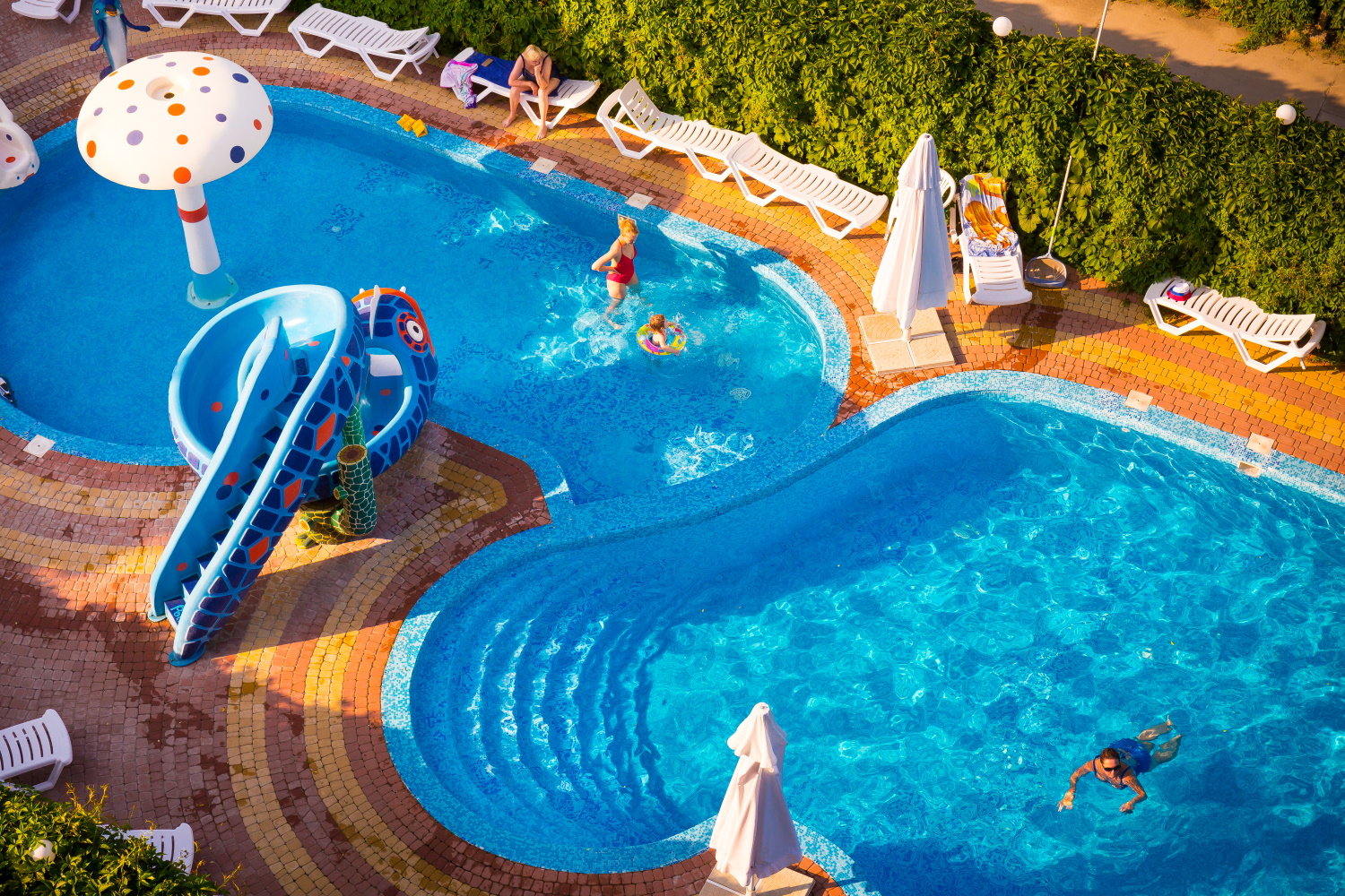 Фото Рябинушка