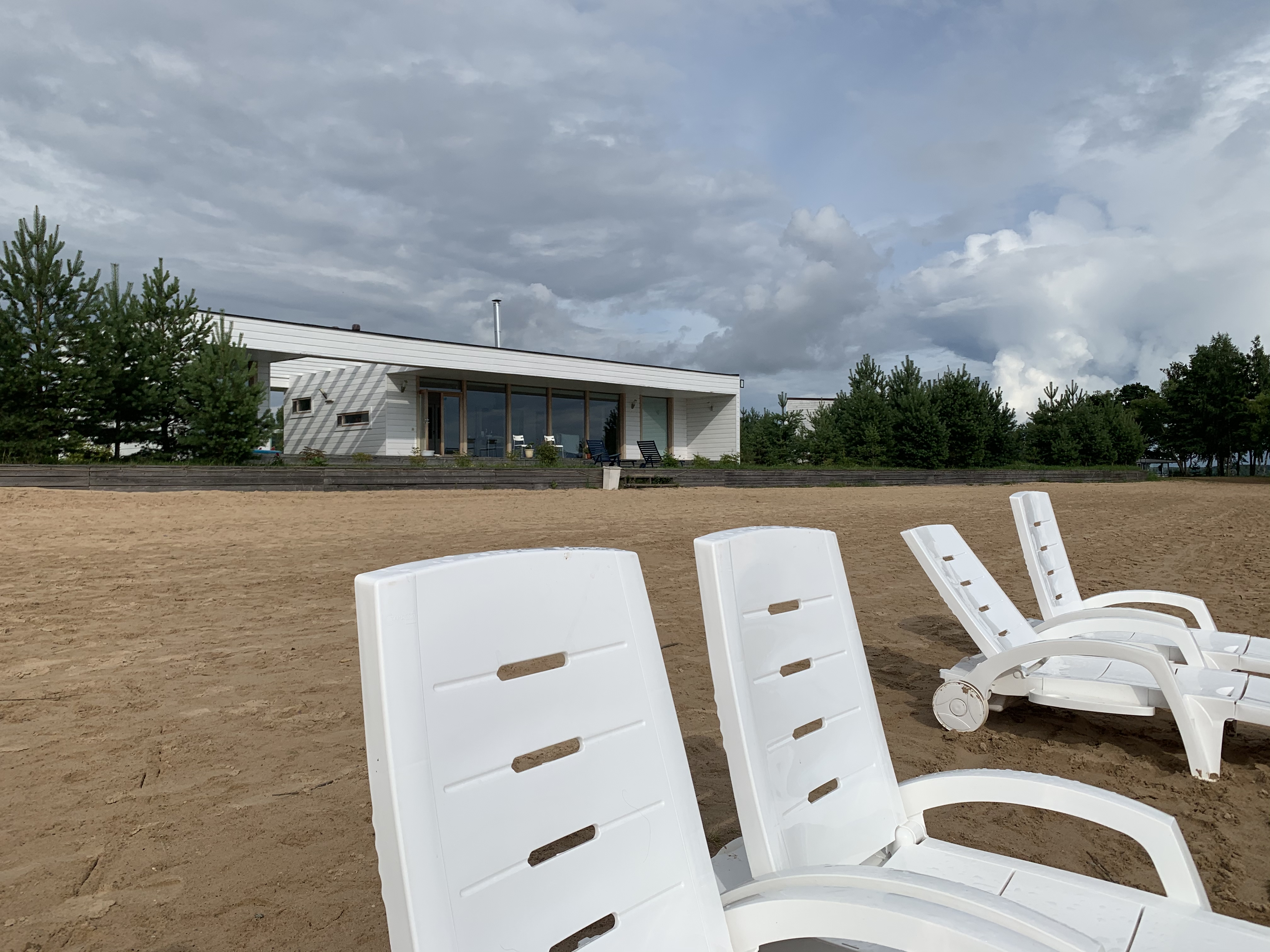 Фото Веточка