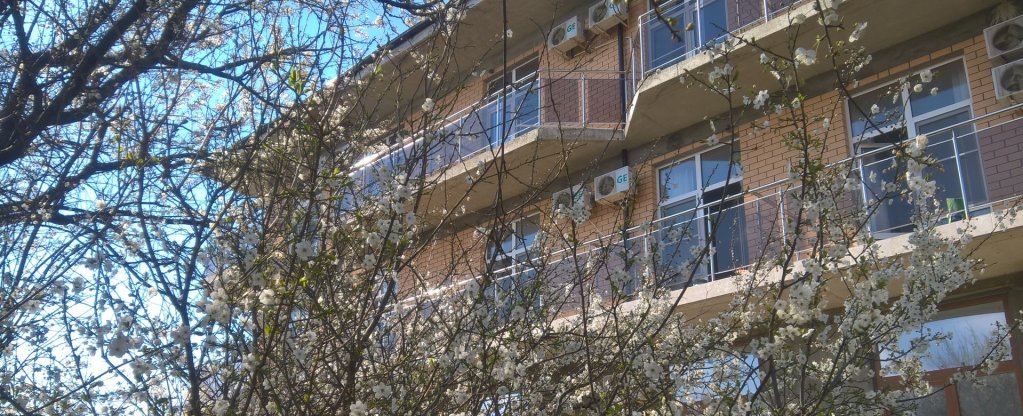 Фото Фантазия