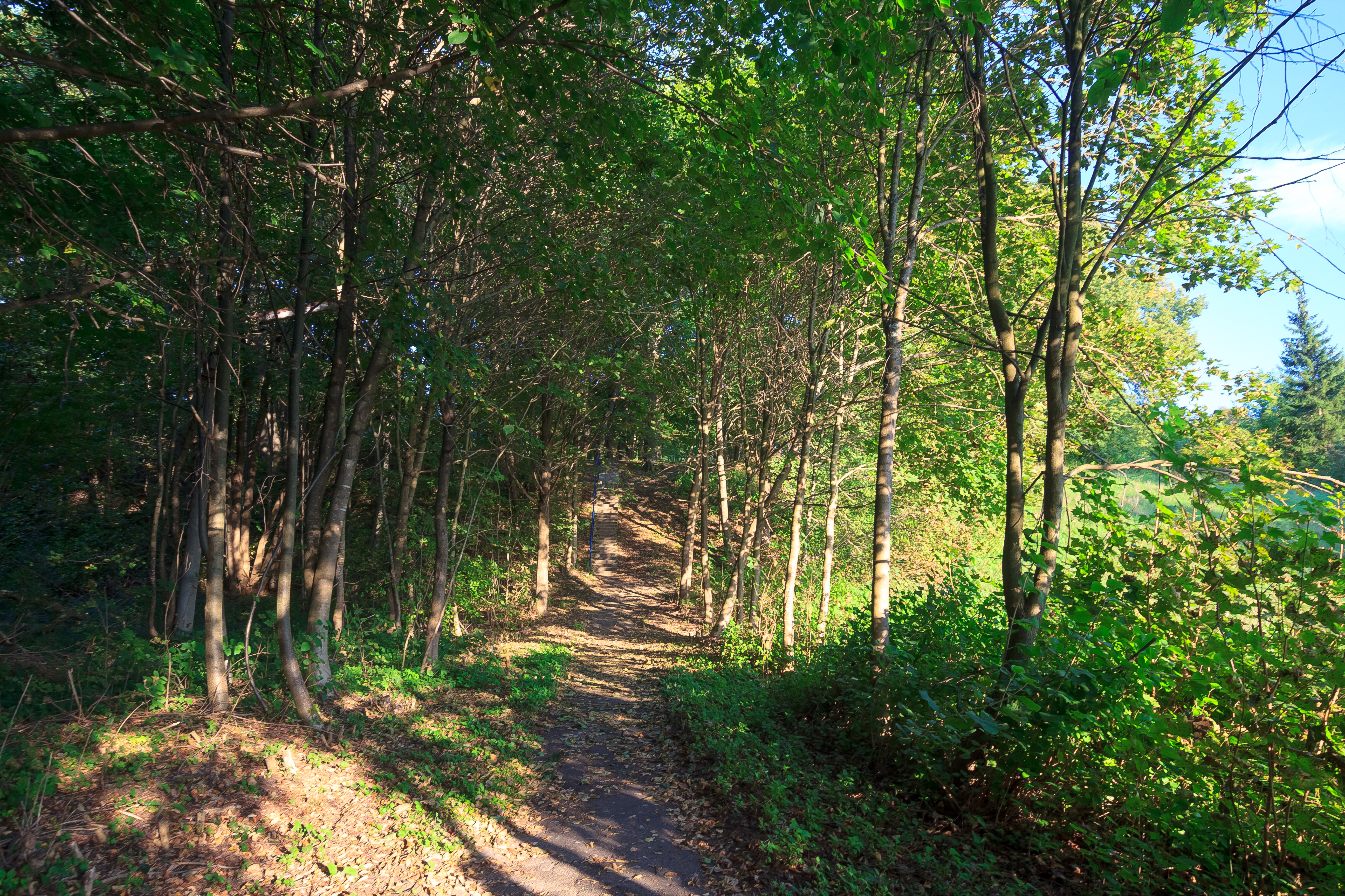 Фото Молния