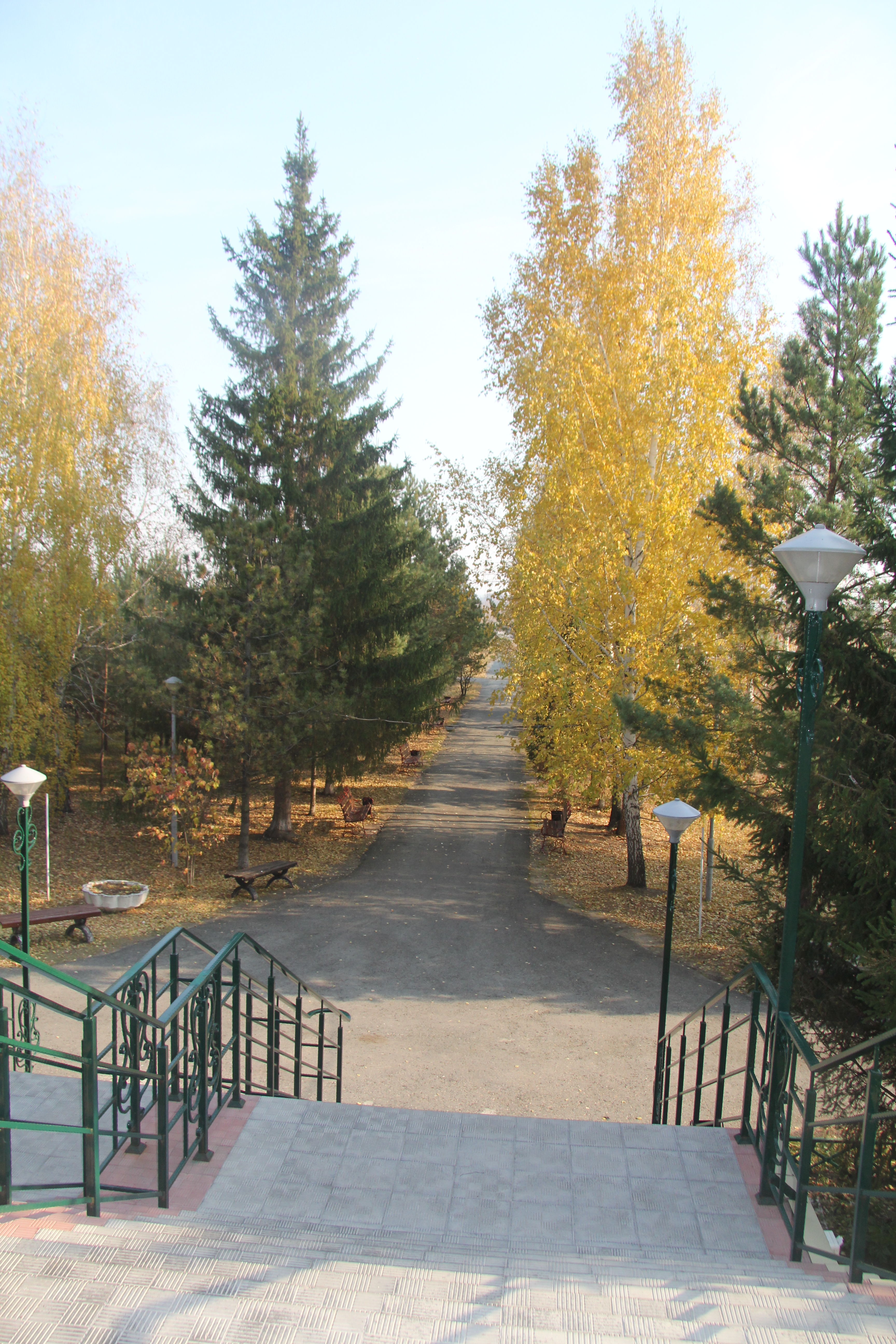 Фото Сосновый Бор