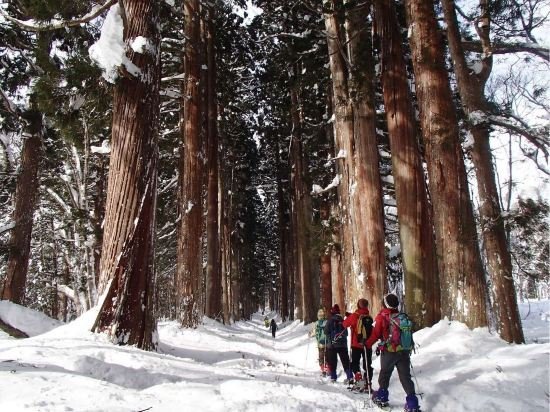 Фото Guest House Lamp