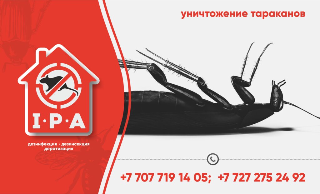 Дезинфекция, дезинсекция, дератизация Disinfaction of Kazakhstan, Алматы, фото