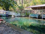 Green Valley (Muğla, Köyceğiz, Pınar Mah., Akyaka11 Sok., 15/1), restaurant