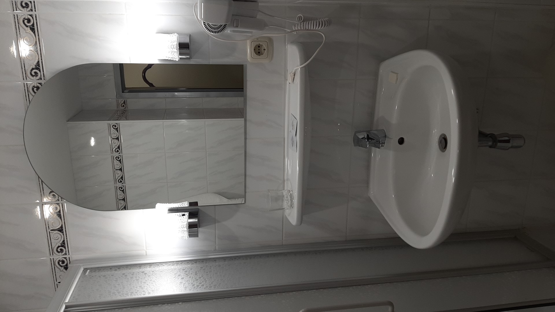 Фото Лебедь