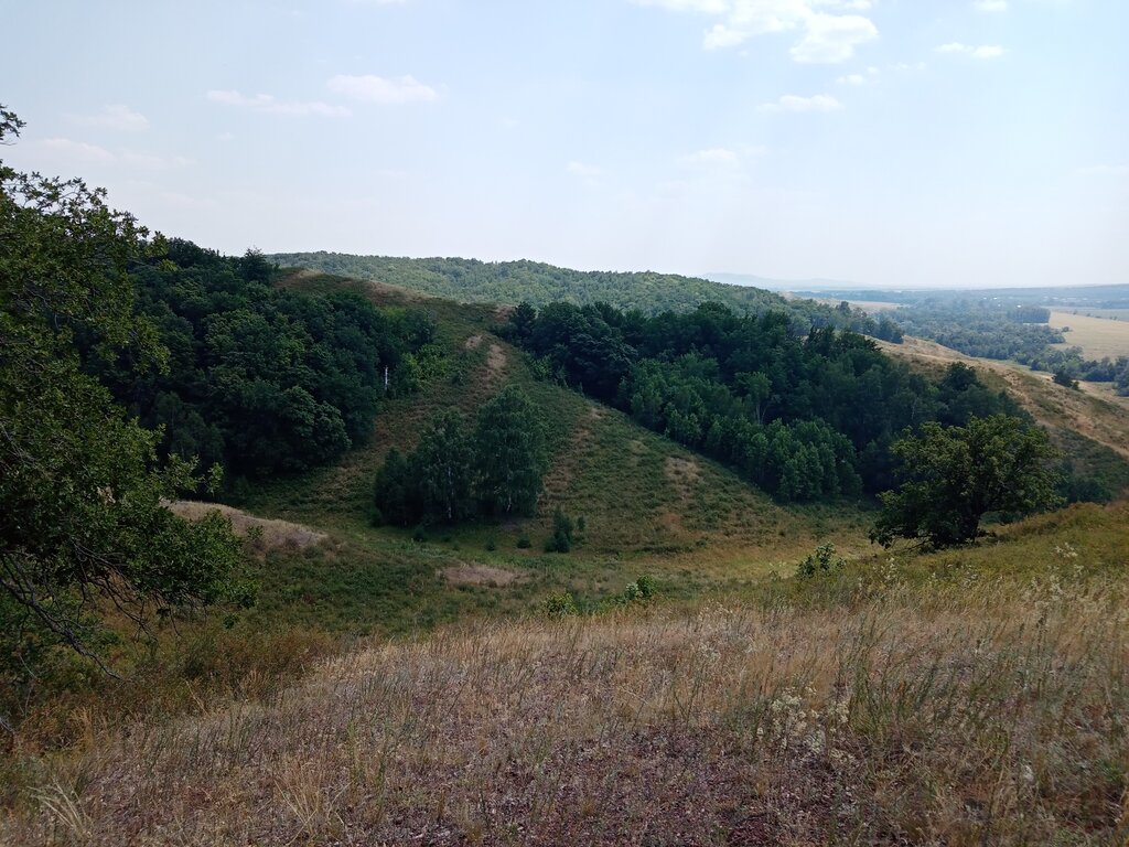 Природа Урочище Алебастровая гора, Оренбургская область, фото