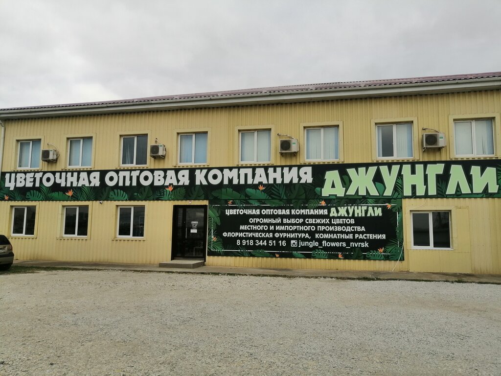 Flower shop Джунгли, Novorossiysk, photo