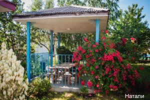 Фото Ланата