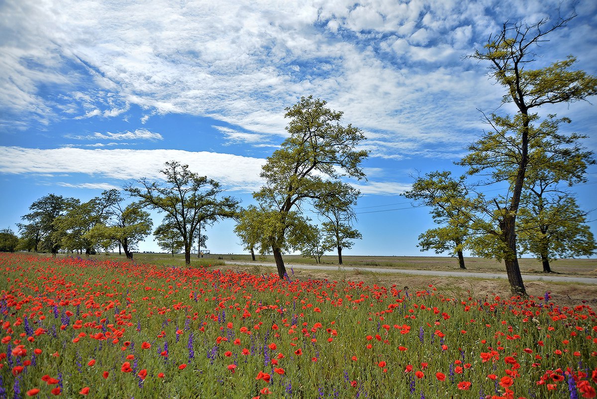 Фото Ранчо Беляус