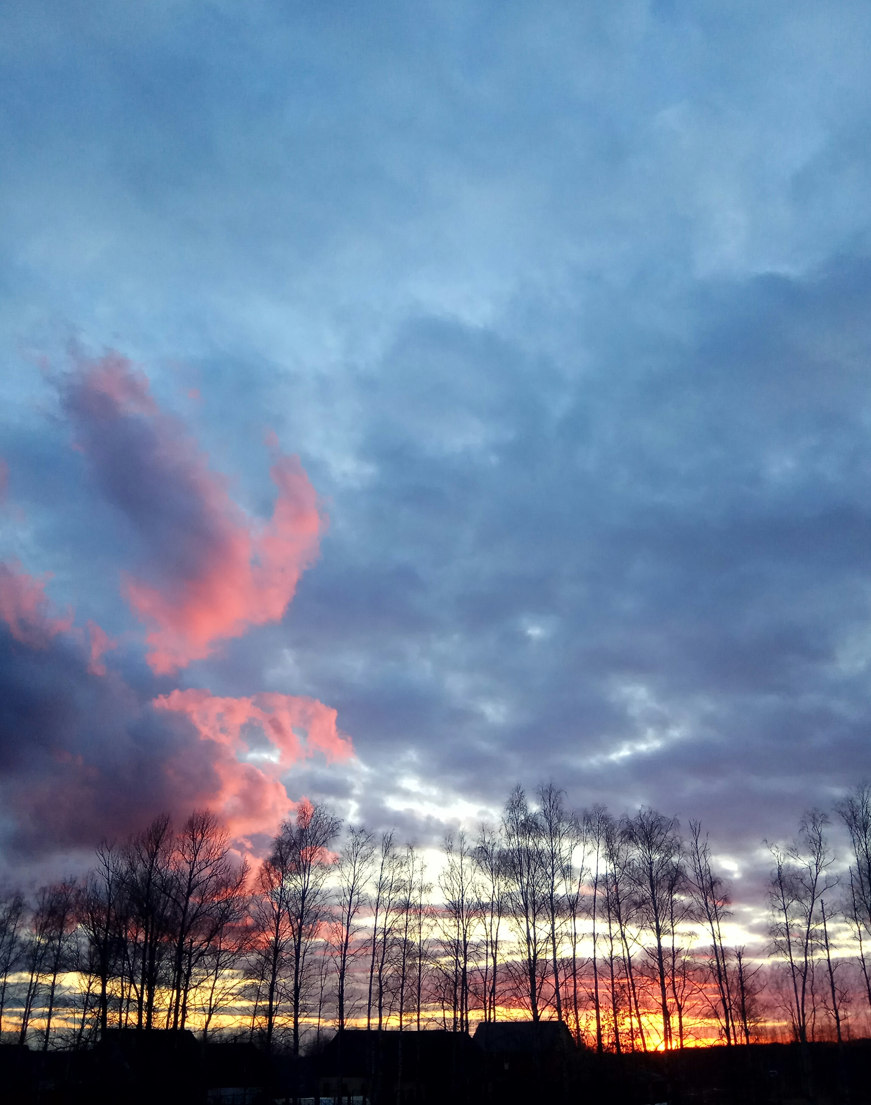 Фото Дядя Ваня