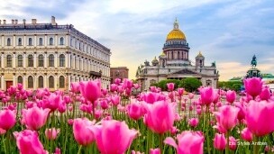 Фото Ibis Styles Antibes