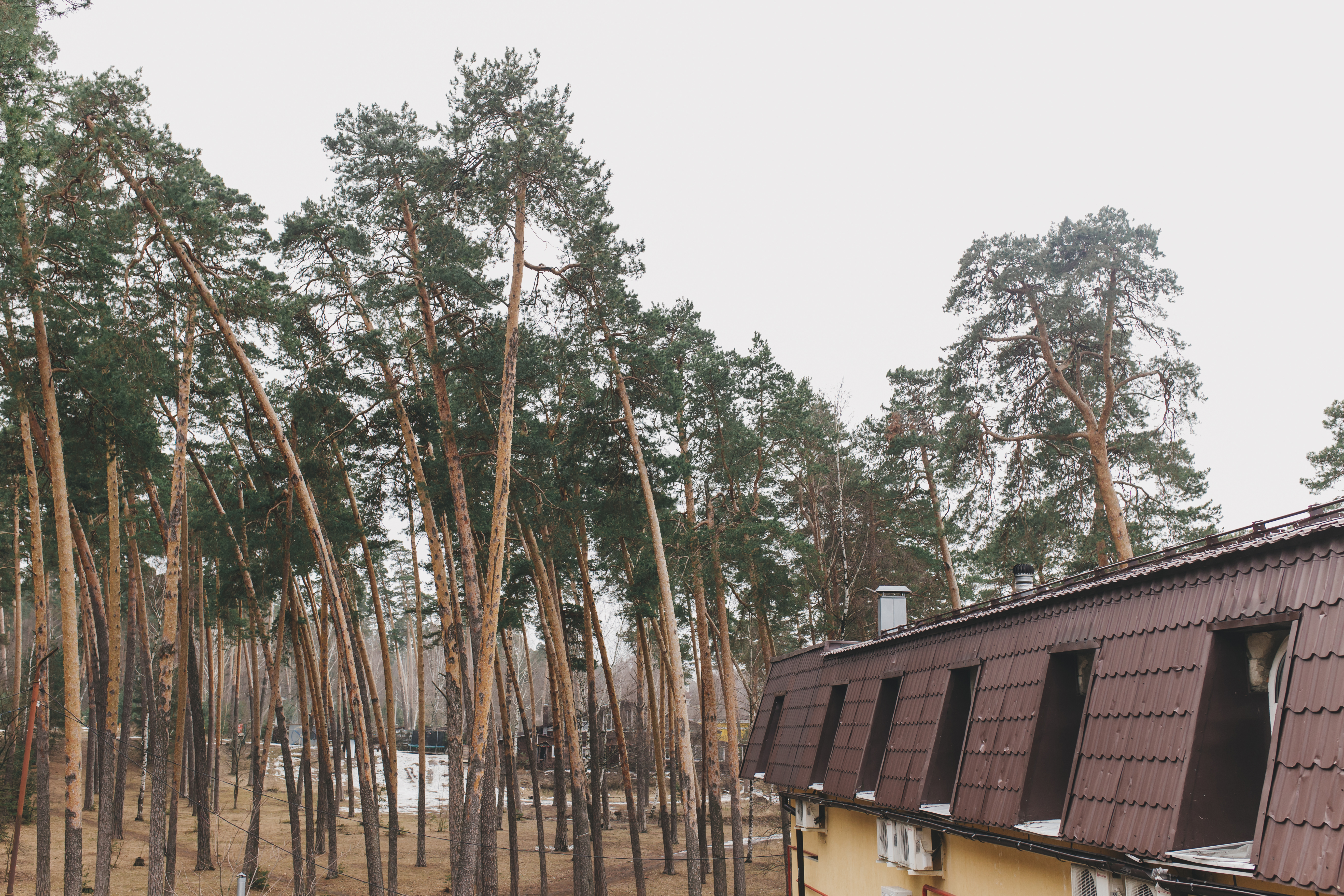 Фото Паустовский