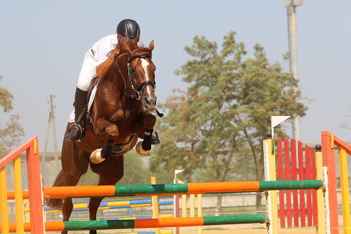Фото База активного отдыха СВХ