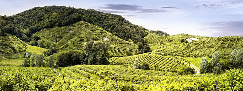 Фото Hotel Al Giardino