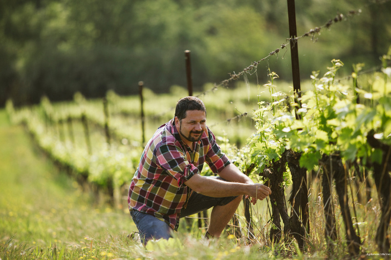 Фото Villa Venti