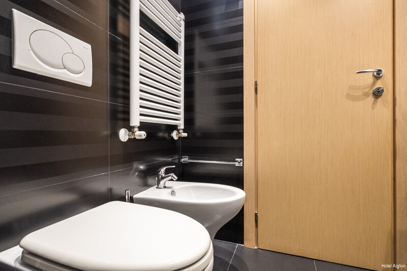 Фото Hotel Aiglon