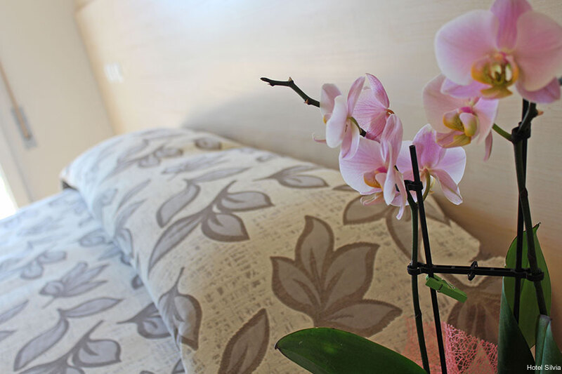 Фото Hotel Silvia Misano Adriatico