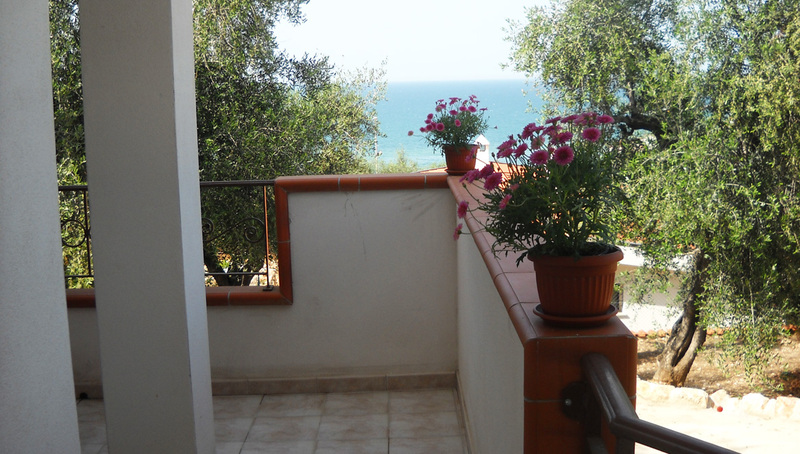 Фото Zagare Residence