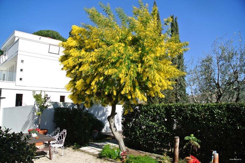Гостиница Il Giardino del Tè
