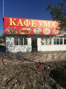 Халяль (Republic of Daghestan, Khasavyurtovskiy rayon, selo Kurush), cafe