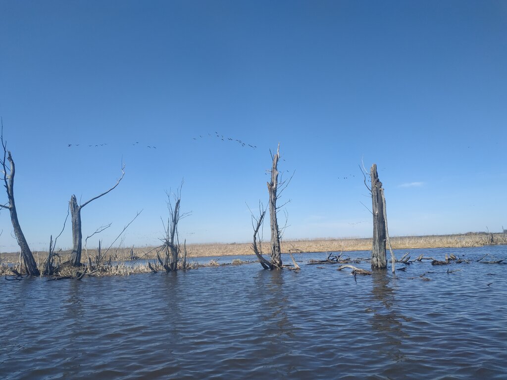 Москворецкий пойменный заказник карта