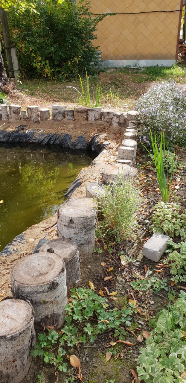 Фото Займище