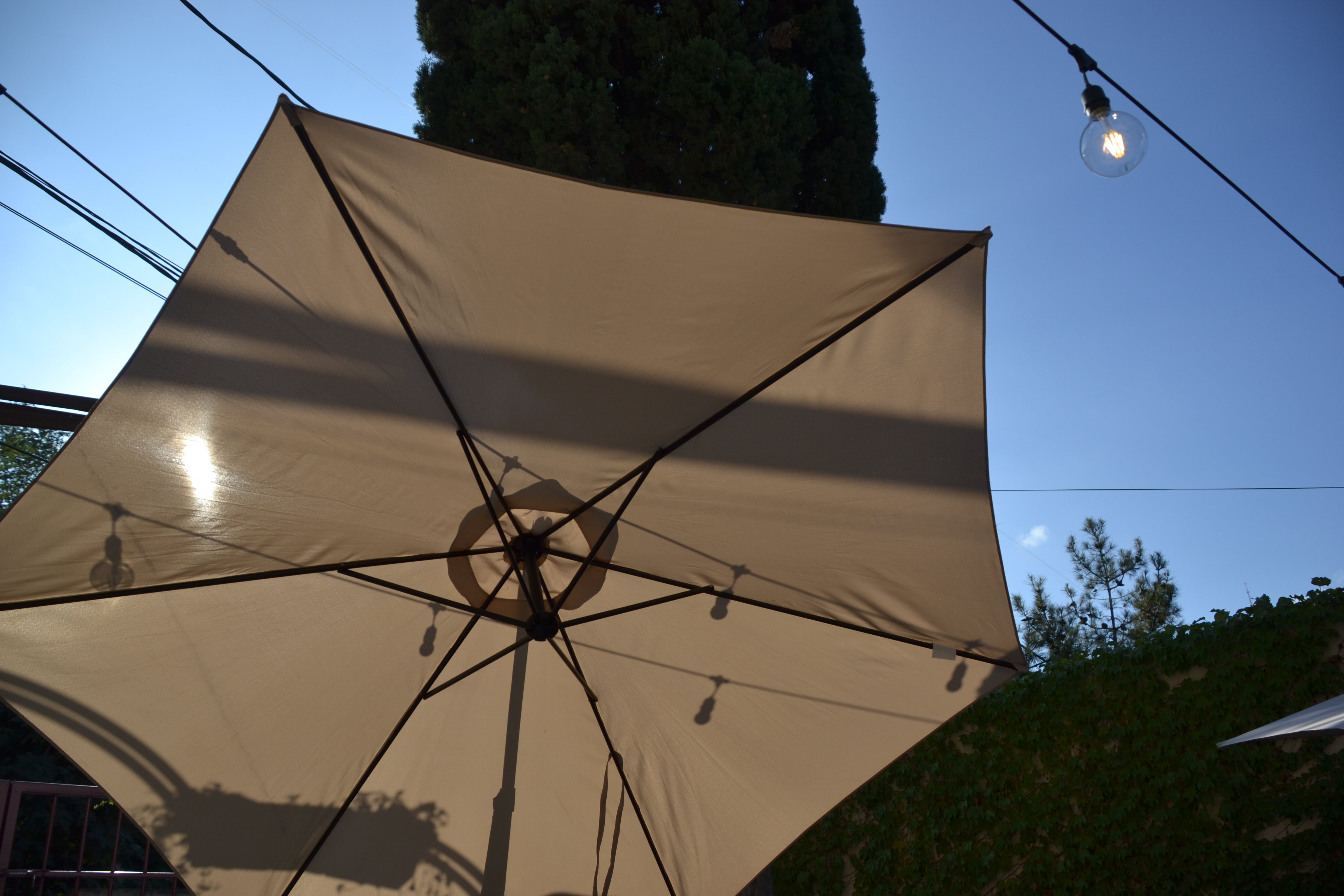 Фото Гвино Минда