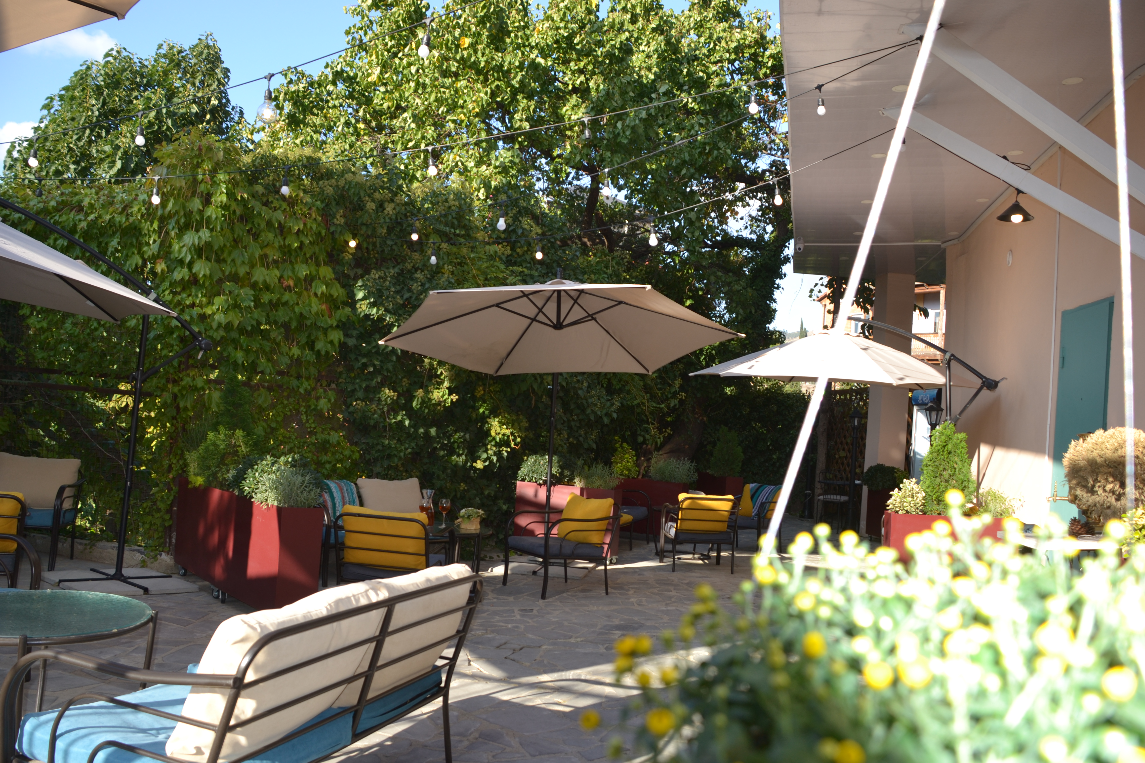 Фото Гвино Минда