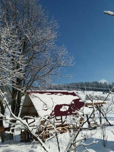 Гостиница Guest House Gostynna Rodyna